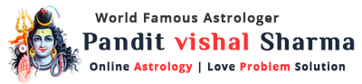 Famous Astrologer in Pune